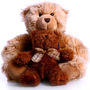 Teddy Bear