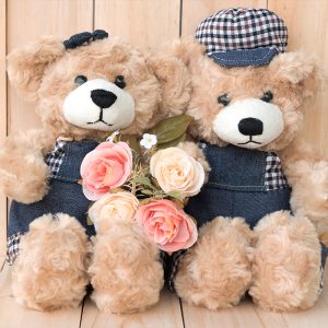 Teddy Dolls
