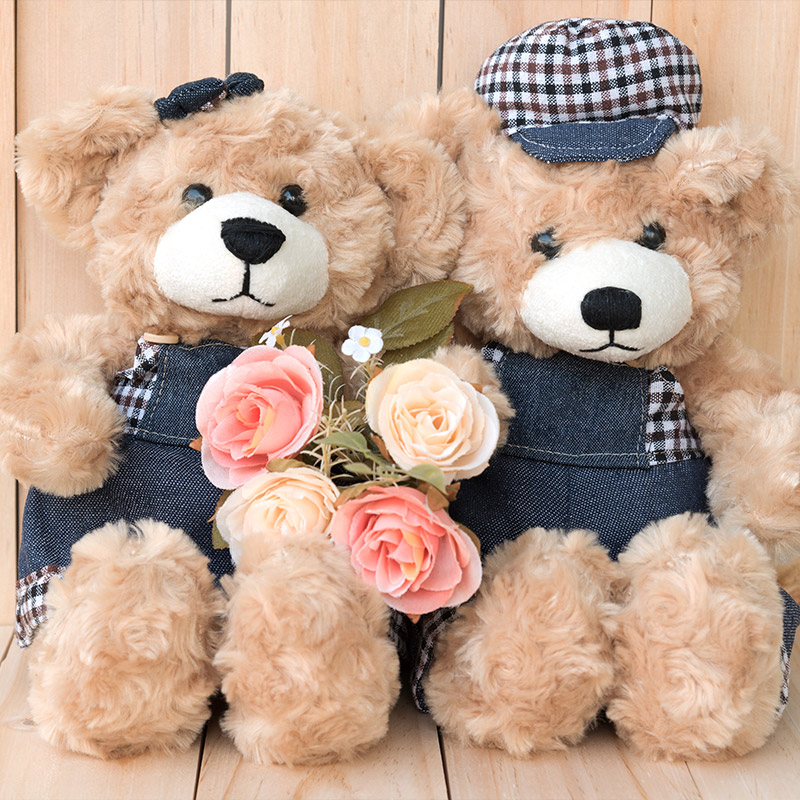 Teddy Dolls